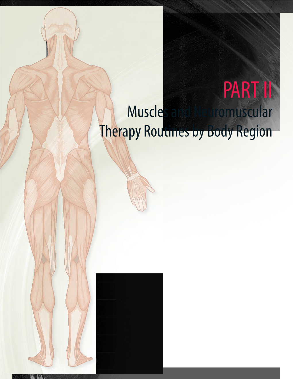 Muscles and Neuromuscular Therapy Routines by Body Region