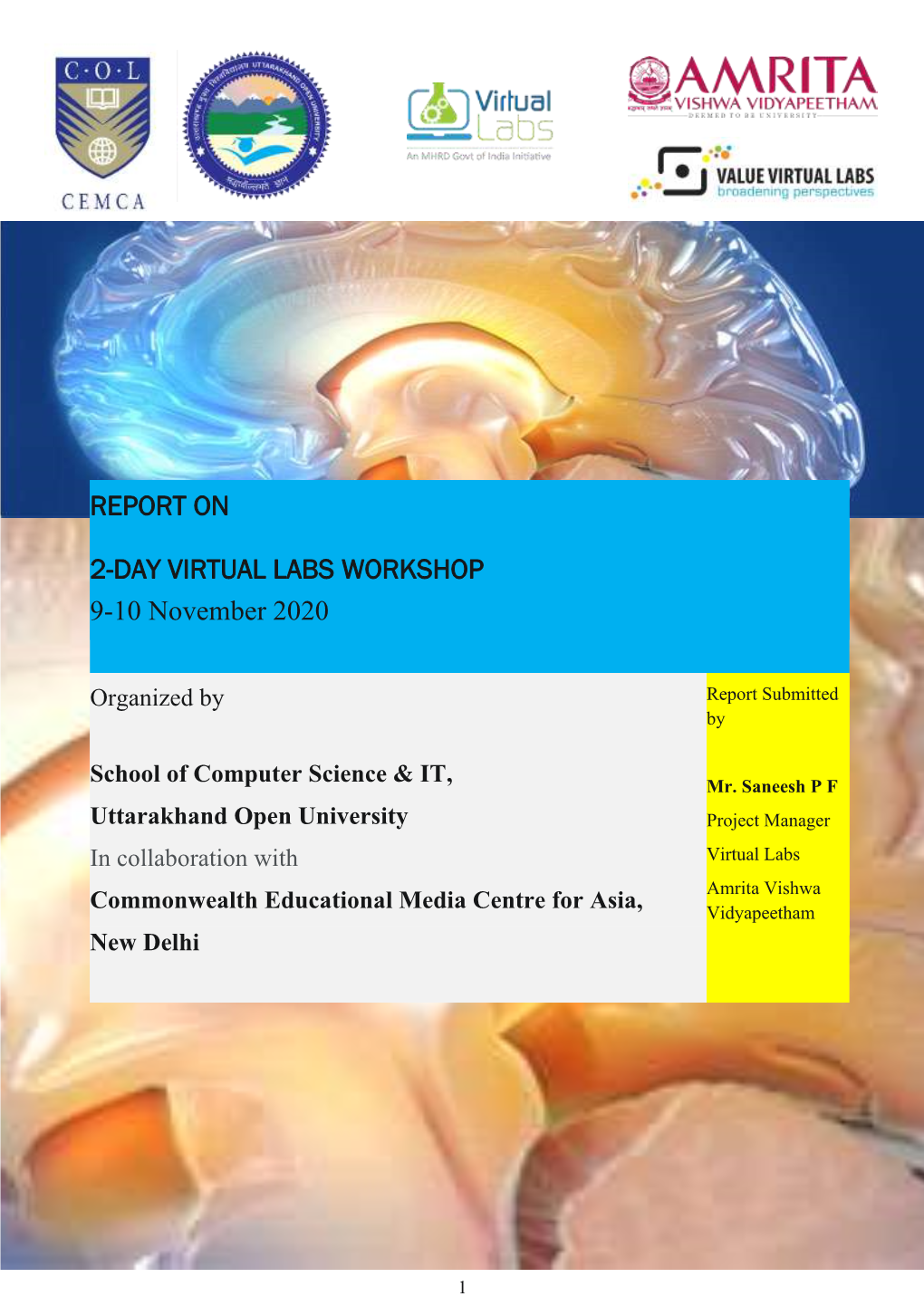 Online Workshop on Virtual Labs