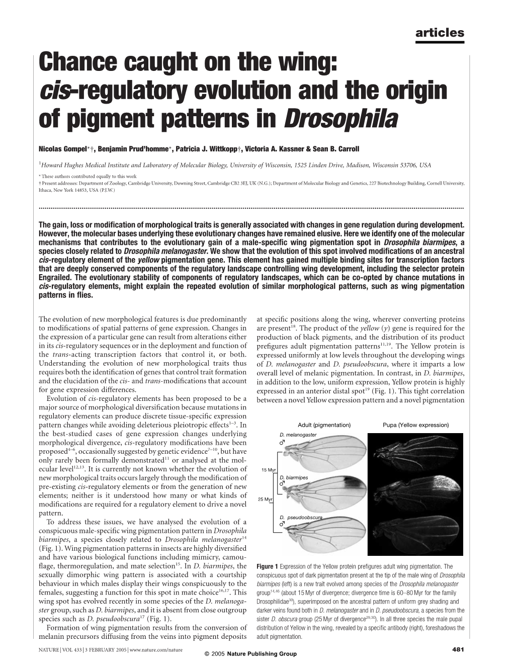 Cis-Regulatory Evolution and the Origin of Pigment Patterns in Drosophila