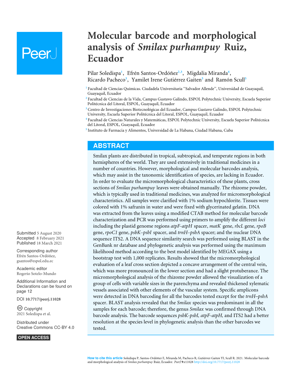 Molecular Barcode and Morphological Analysis of Smilax Purhampuy Ruiz, Ecuador