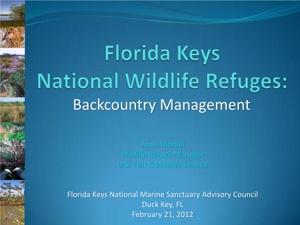 Florida Keys National Wildlife Refuges