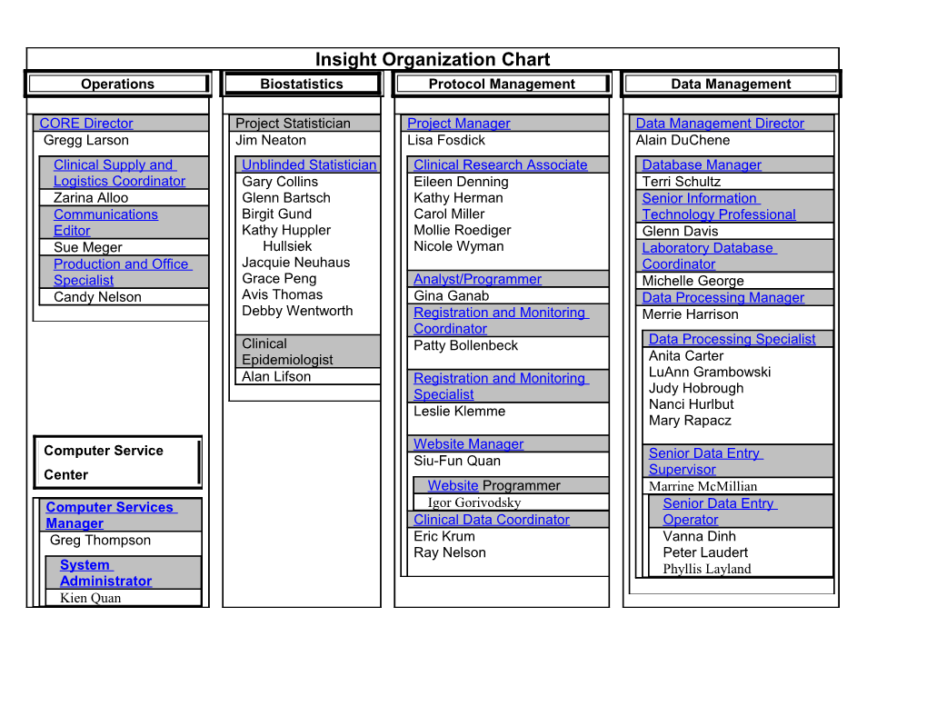 Insight Organization Chart