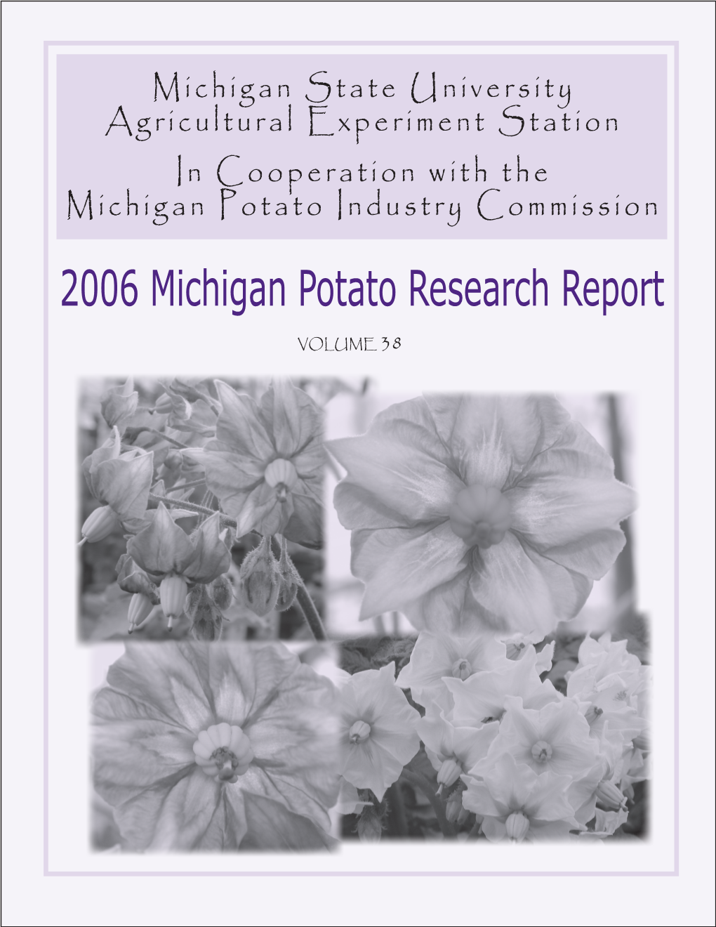 2006 Michigan Potato Research Report