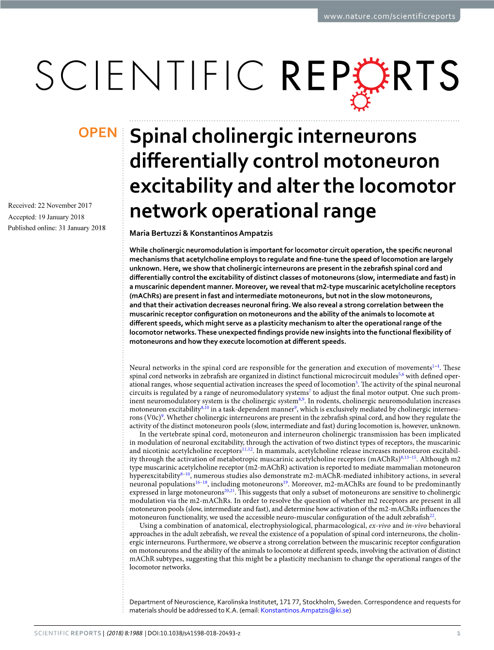 Spinal Cholinergic Interneurons Differentially Control Motoneuron