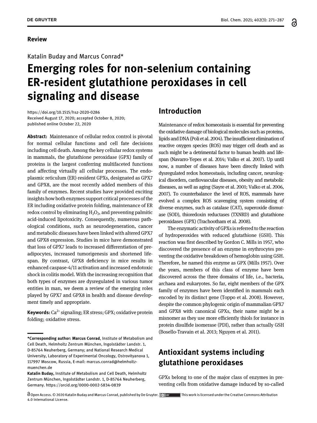 Emerging Roles for Non-Selenium Containing ER-Resident Glutathione