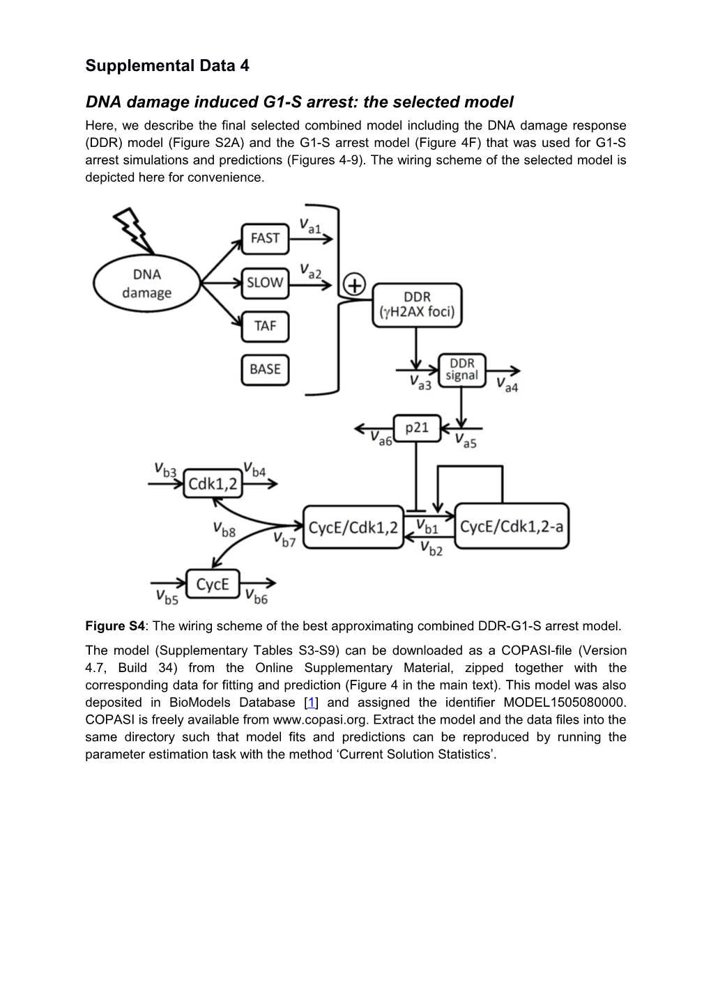 DNA Damage Induced G1-S Arrest: the Selected Model