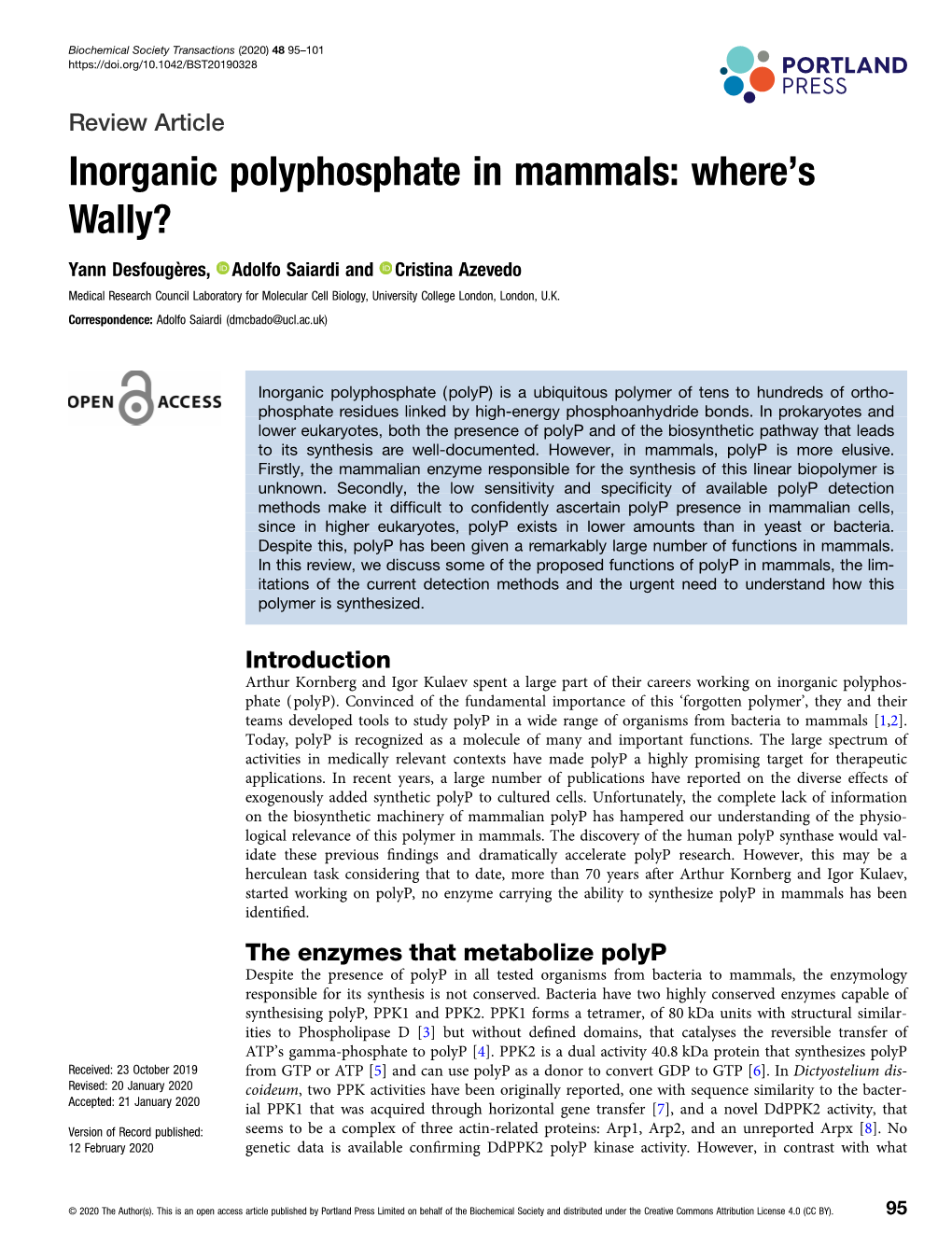 Inorganic Polyphosphate in Mammals: Where’S Wally?