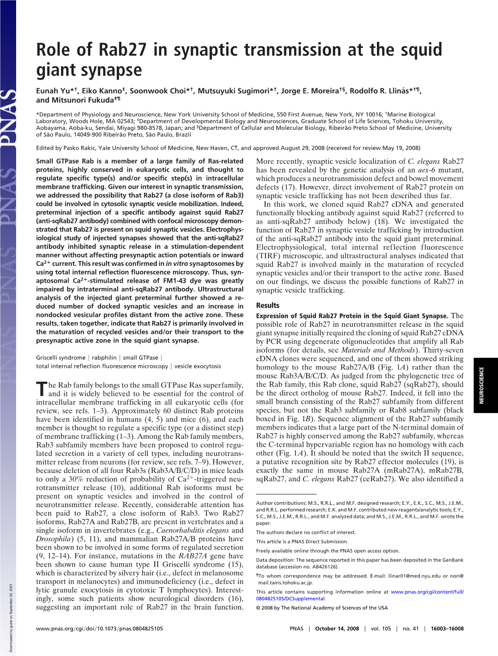 Role of Rab27 in Synaptic Transmission at the Squid Giant Synapse