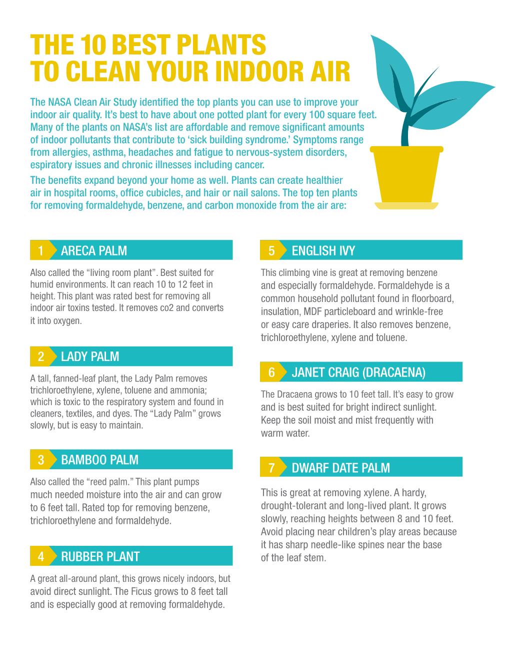 THE 10 BEST PLANTS to CLEAN YOUR INDOOR AIR the NASA Clean Air Study Identified the Top Plants You Can Use to Improve Your Indoor Air Quality