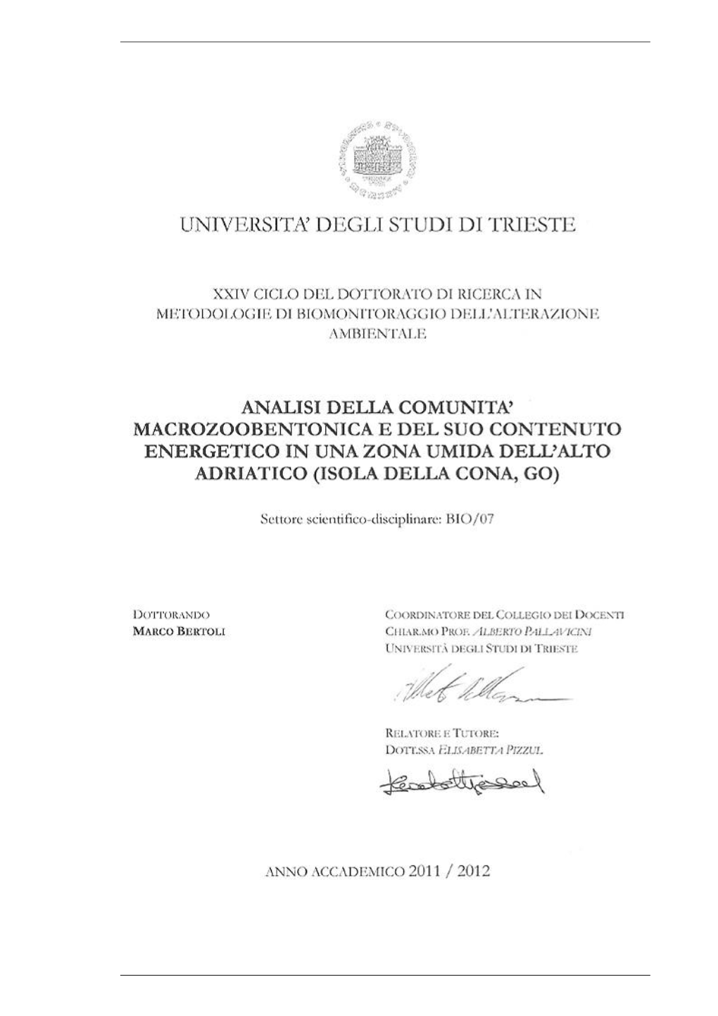 Bertoli Phd.Pdf