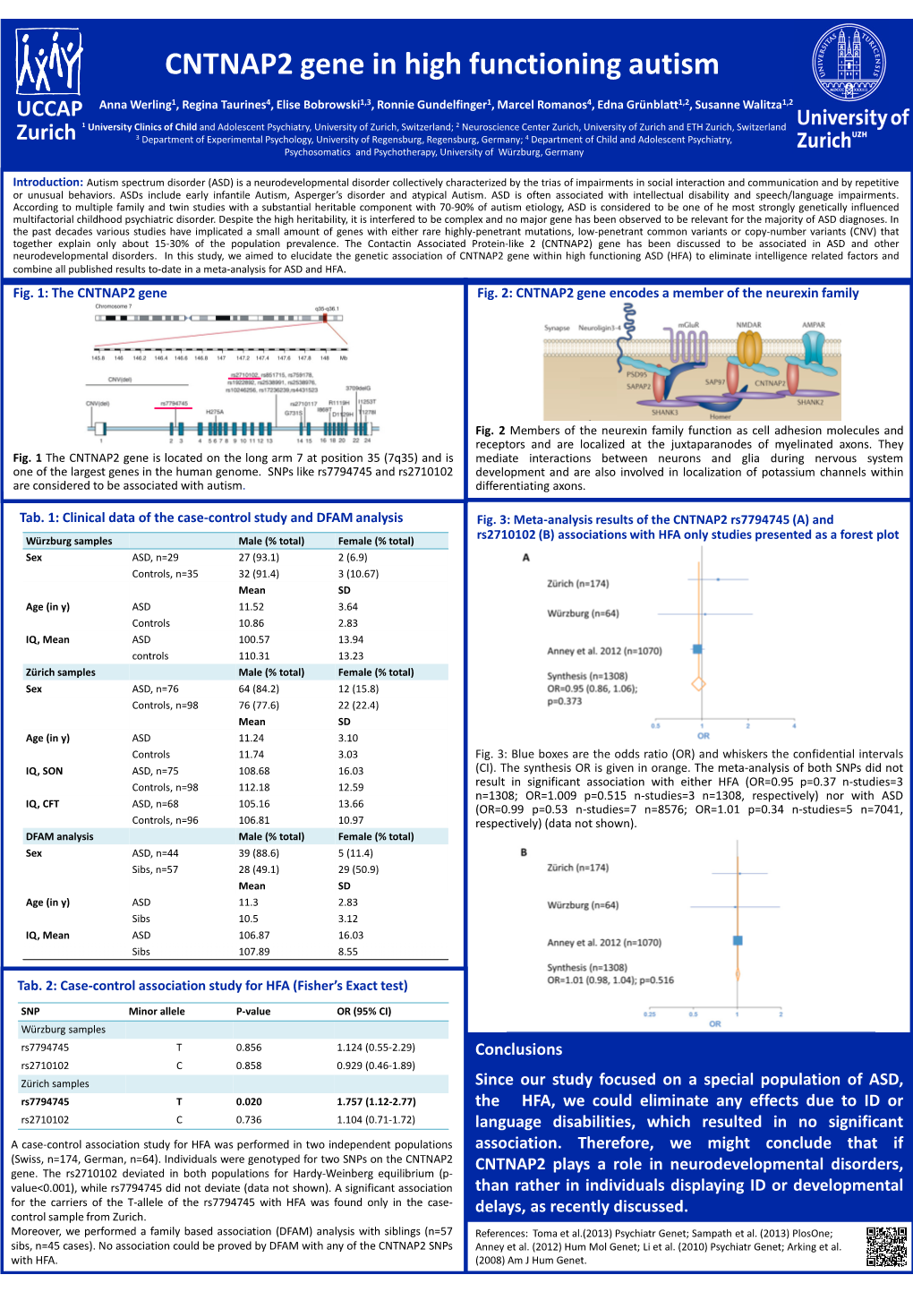 CNTNAP2 Gene in High Functioning Autism