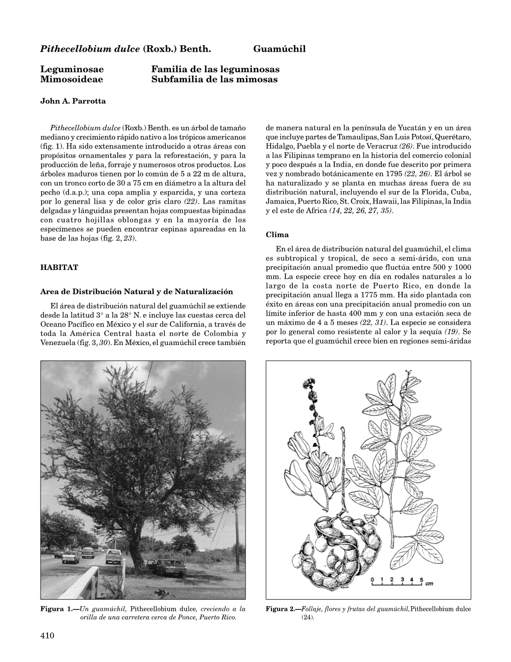 Pithecellobium Dulce (Roxb.) Benth. Guamúchil Leguminosae Familia