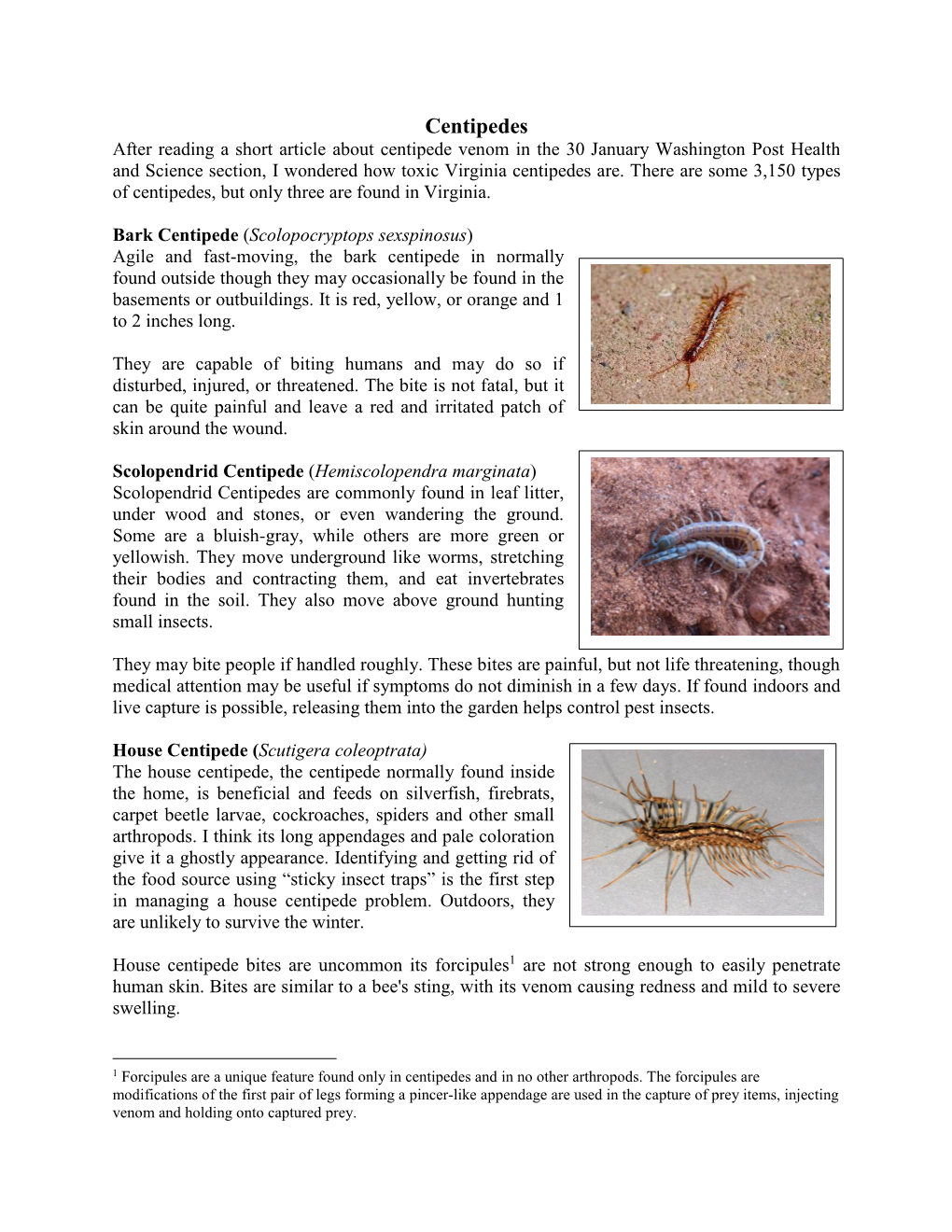 Centipedes (Pdf)