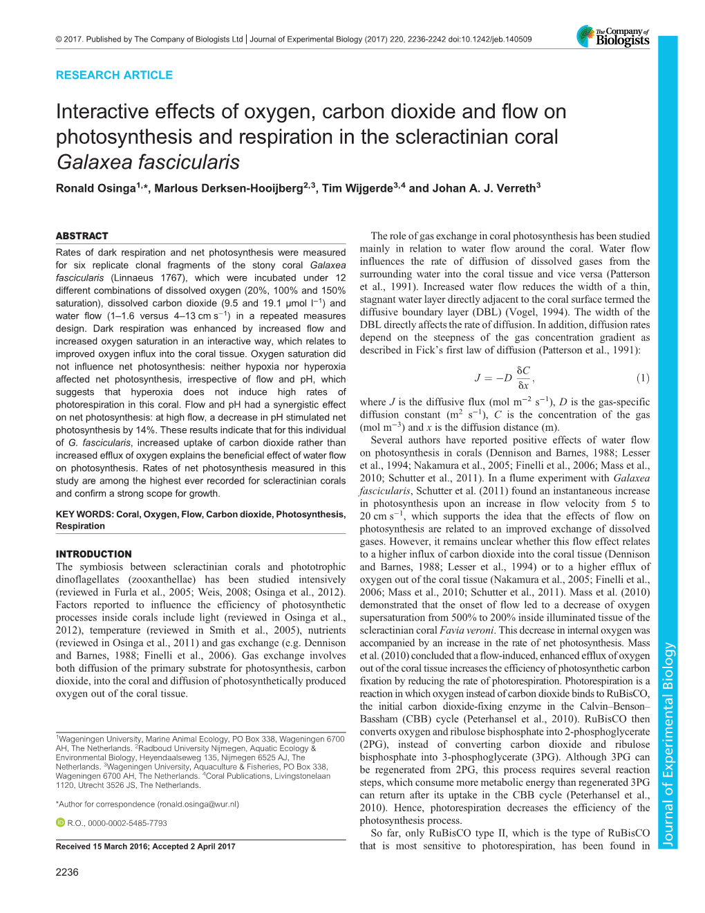 Interactive Effects of Oxygen, Carbon Dioxide and Flow on Photosynthesis