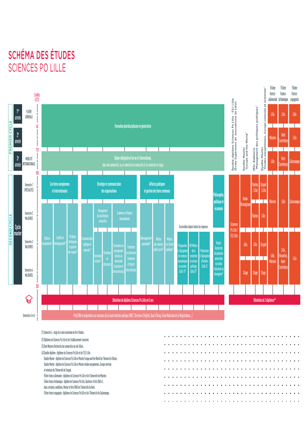 Schéma Des Études Sciences Po Lille