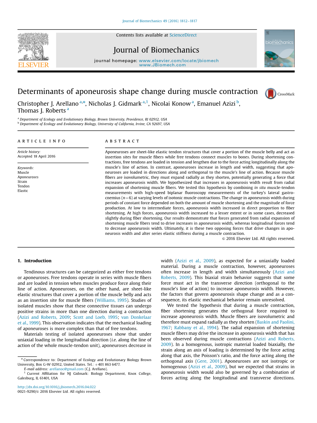 Determinants of Aponeurosis Shape Change During Muscle Contraction