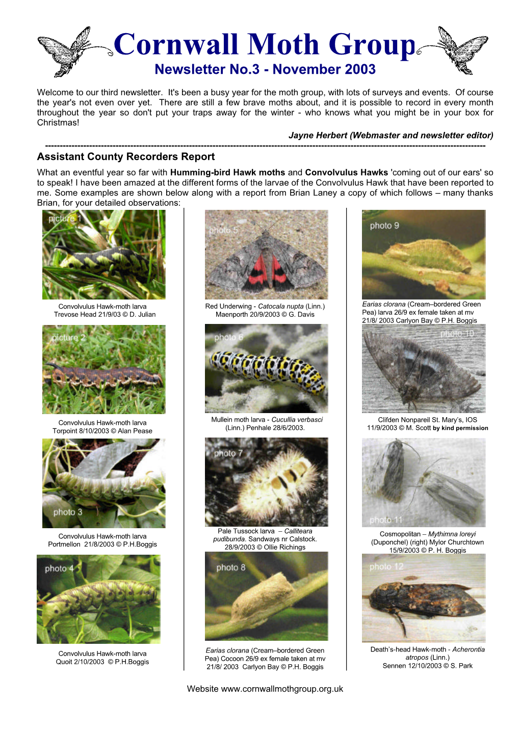 Cornwall Moth Group Newsletter No.3 - November 2003