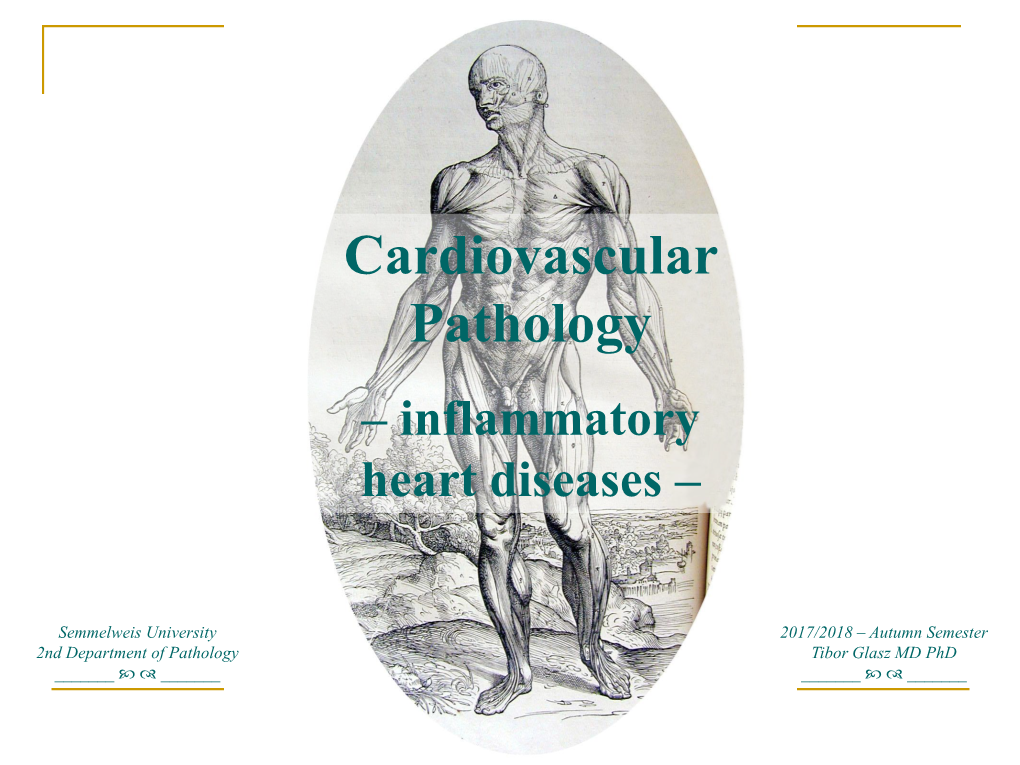 Inflammatory Heart Diseases –