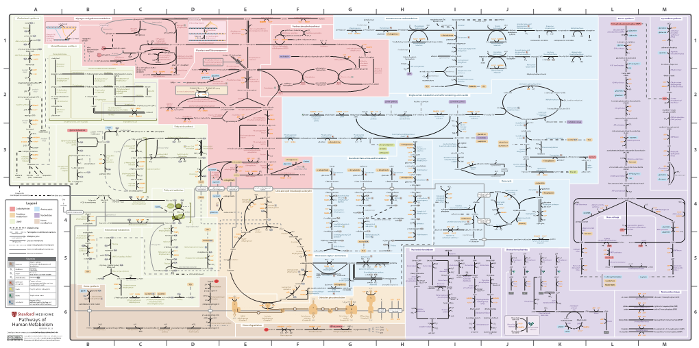 Fullsubwaymap221.Pdf