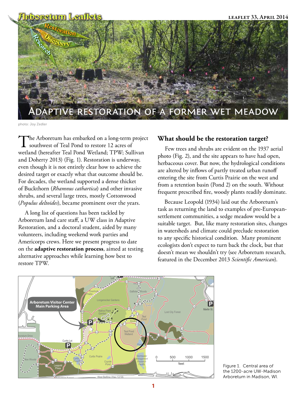 Adaptive Restoration of a Former Wet Meadow