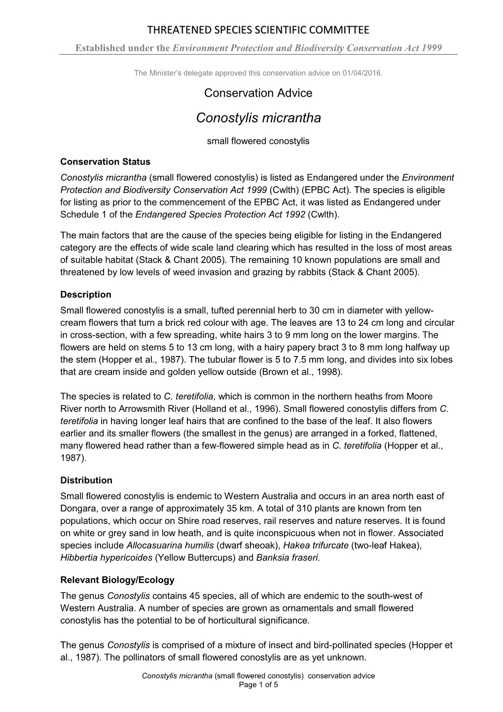 Conservation Advice Conostylis Micrantha Small Flowered Conostylis