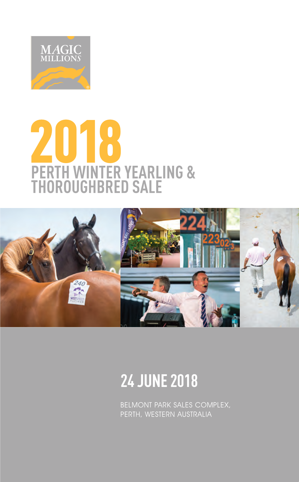 Yearling & Thoroughbred Sale