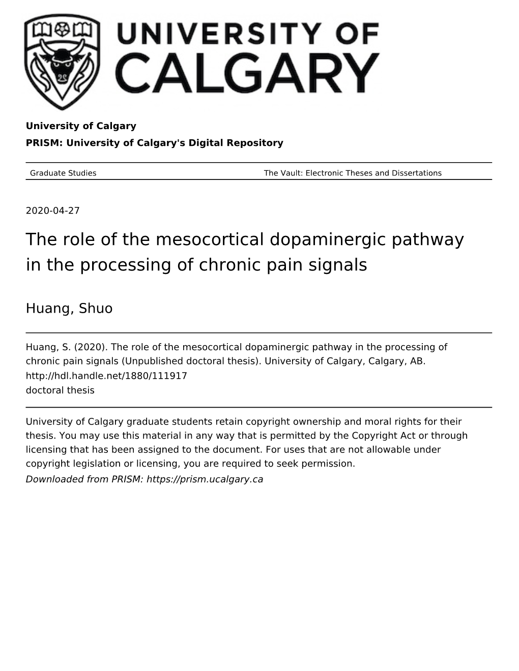 The Role of the Mesocortical Dopaminergic Pathway in the Processing of Chronic Pain Signals