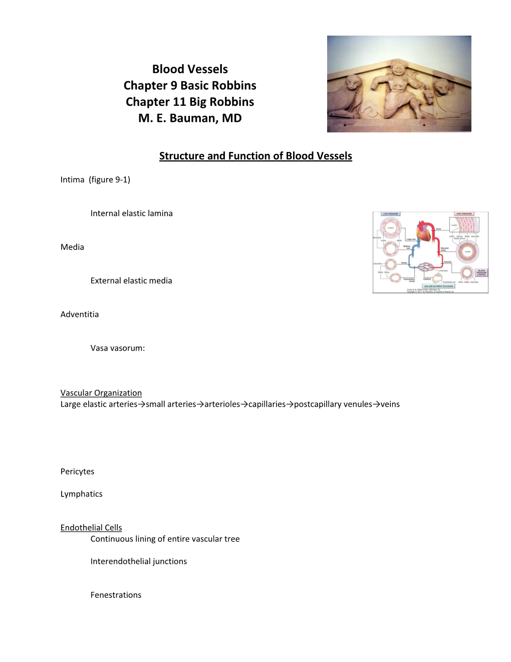 Blood Vessels Chapter 9 Basic Robbins Chapter 11 Big Robbins M