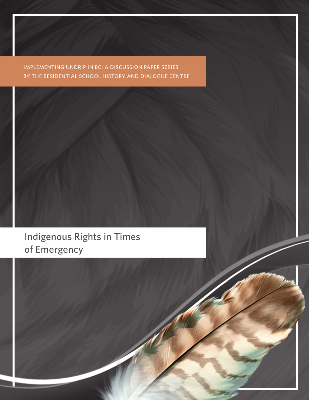 Indigenous Rights in Times of Emergency MARCH 2020 // ARTICLE FIVE Indigenous Rights in Times of Emergency