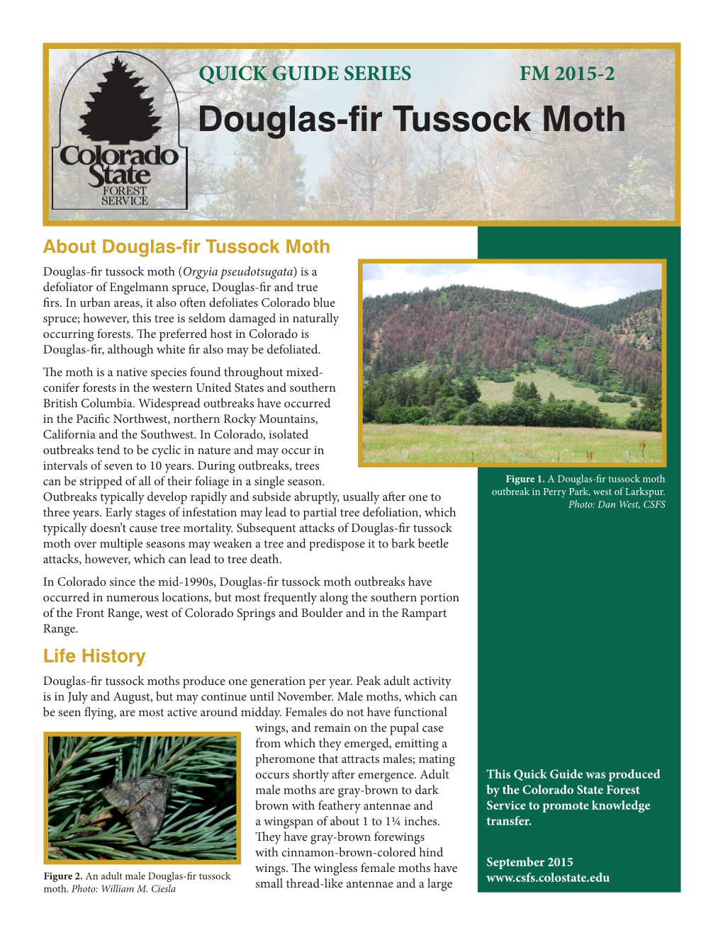 Douglas-Fir Tussock Moth