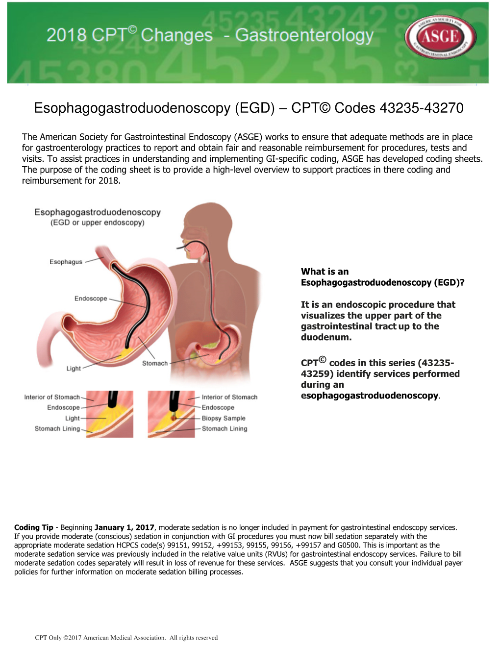 Esophagogastroduodenoscopy (EGD) – CPT© Codes 43235-43270