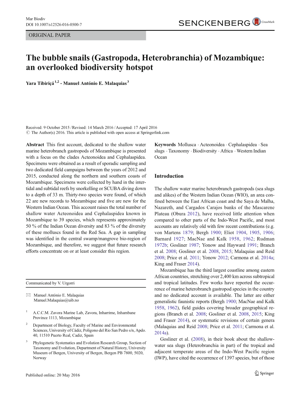 The Bubble Snails (Gastropoda, Heterobranchia) of Mozambique: an Overlooked Biodiversity Hotspot