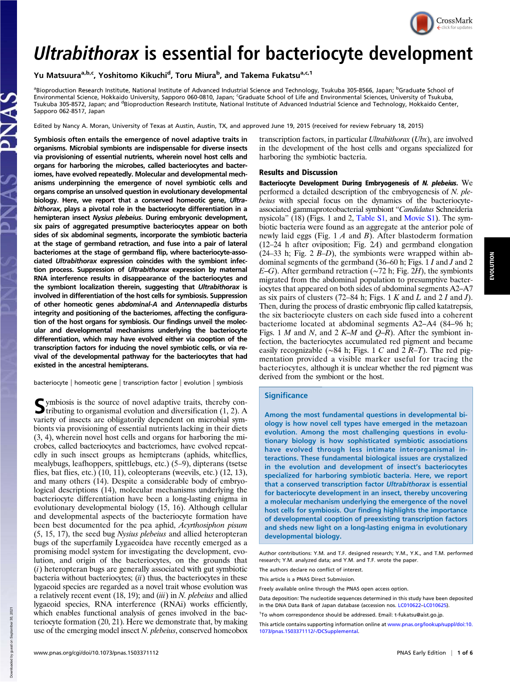 Ultrabithorax Is Essential for Bacteriocyte Development