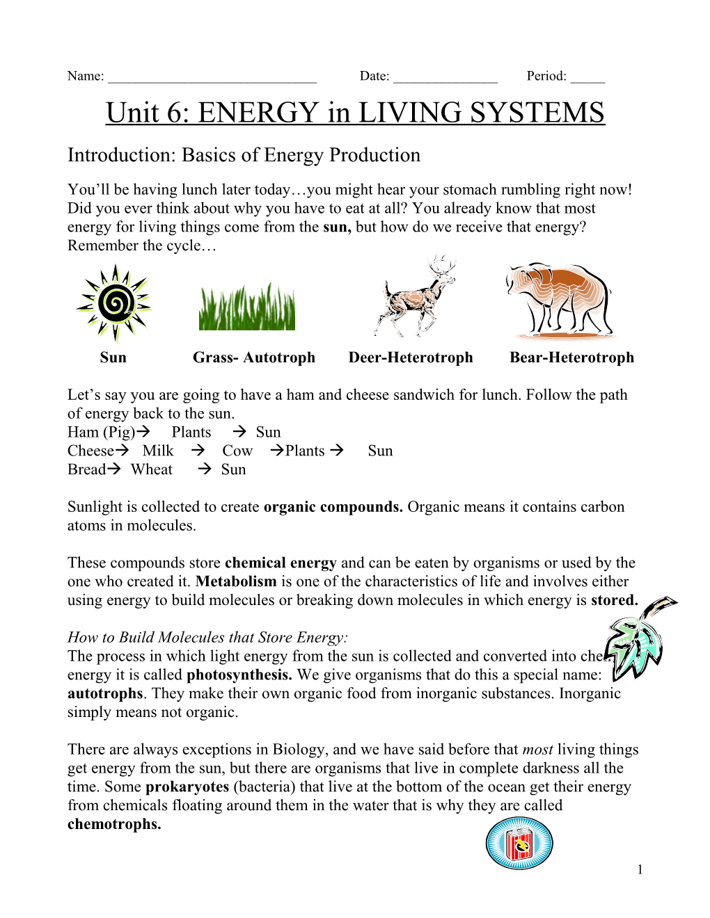 ENERGY in LIVING SYSTEMS