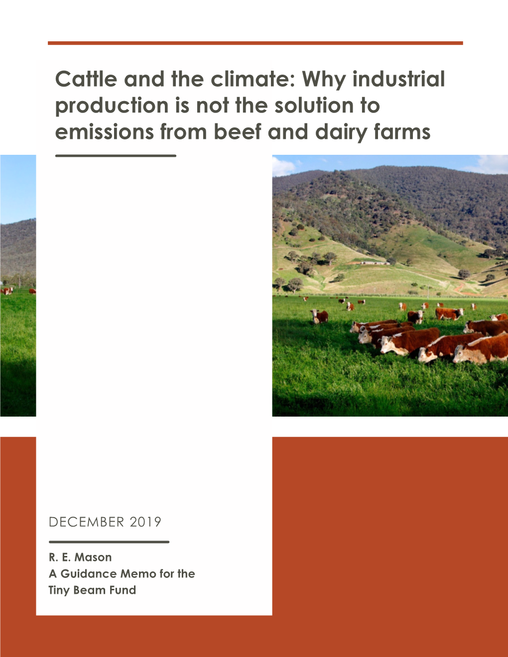Cattle and the Climate: Why Industrial Production Is Not the Solution to Emissions from Beef and Dairy Farms