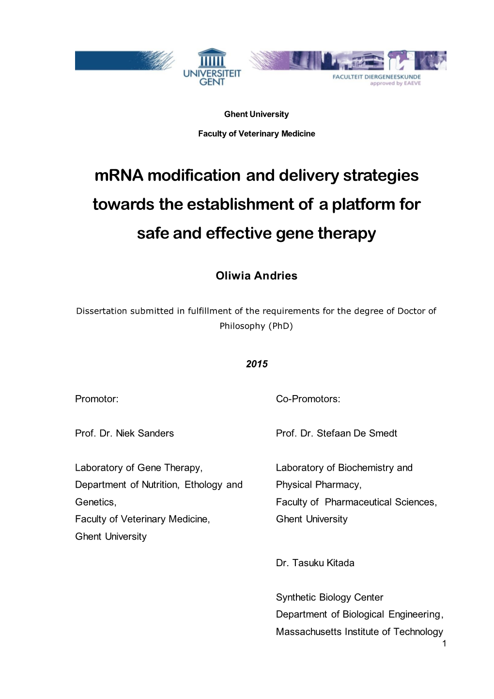 Mrna Modification and Delivery Strategies Towards the Establishment of a Platform for Safe and Effective Gene Therapy