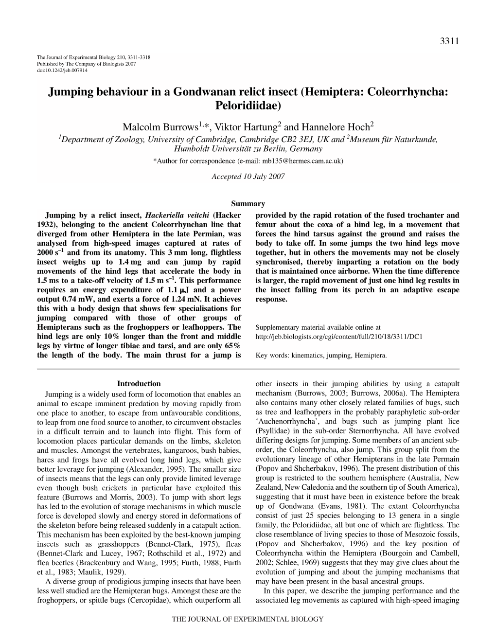 Jumping Behaviour in a Gondwanan Relict Insect (Hemiptera