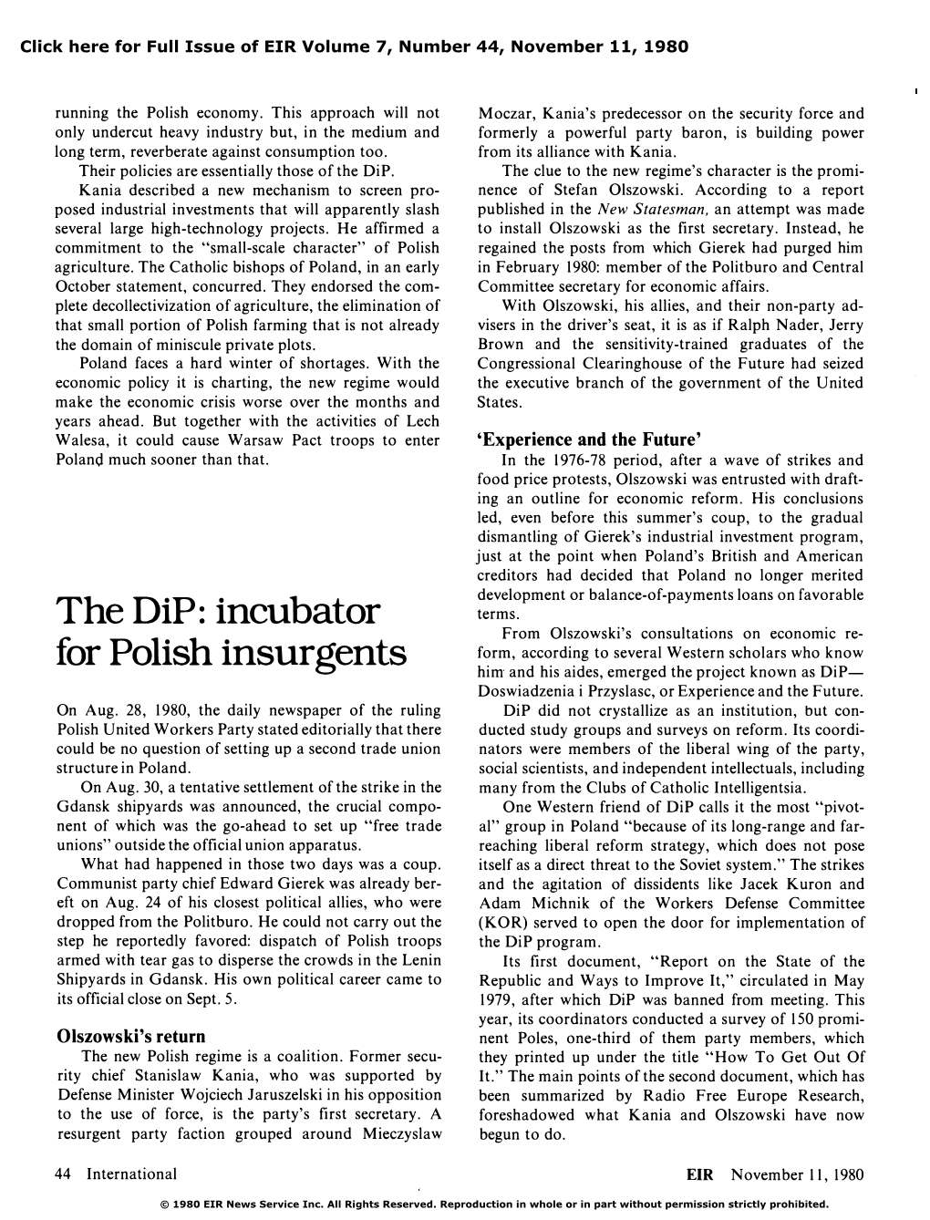 The Dip: Incubator for Polish Insurgents