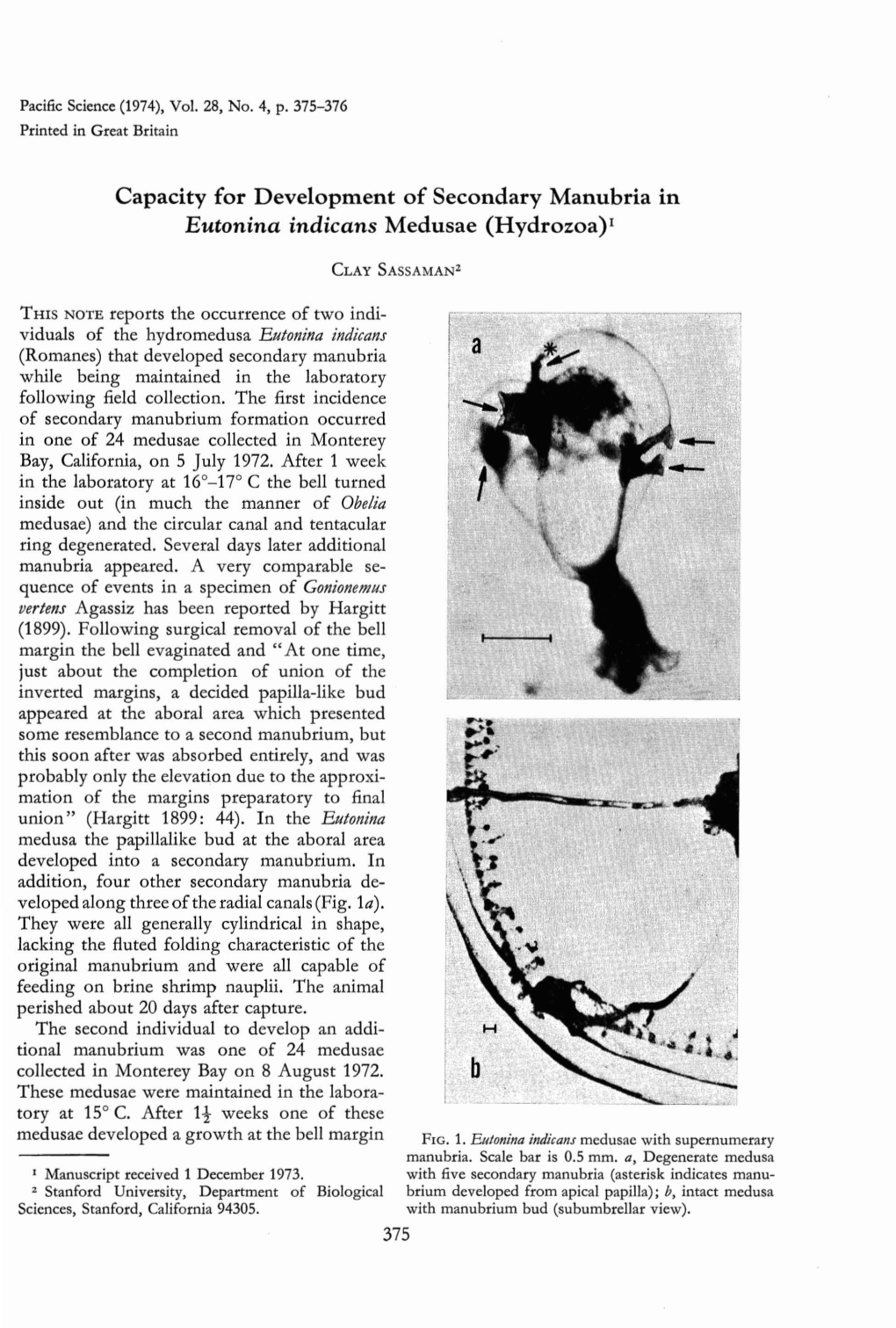 Capacity for Development of Secondary Manubria in Eutonina Indicans Medusae (Hydrozoa)I