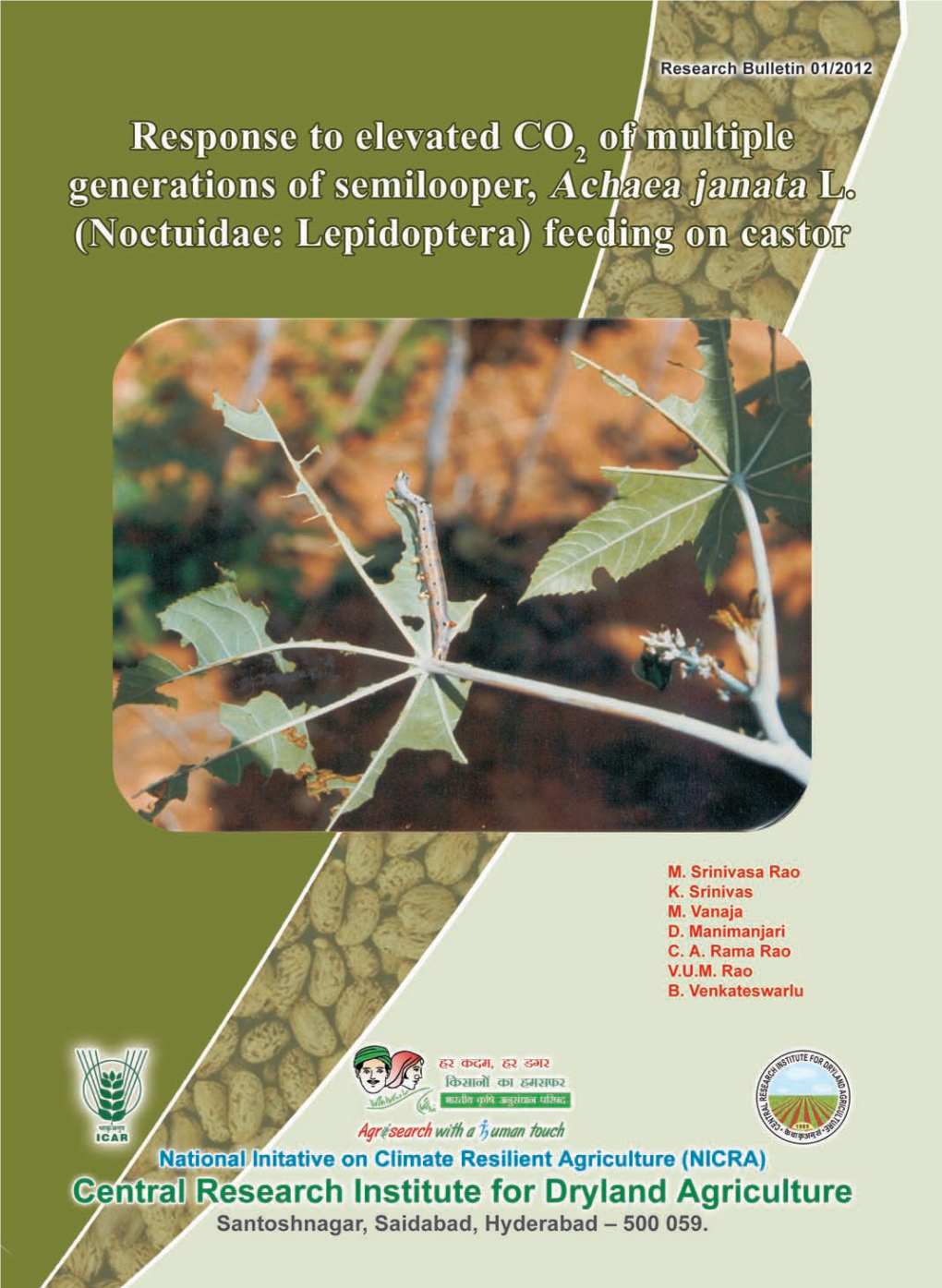 Noctuidae: Lepidoptera) Feeding on Castor