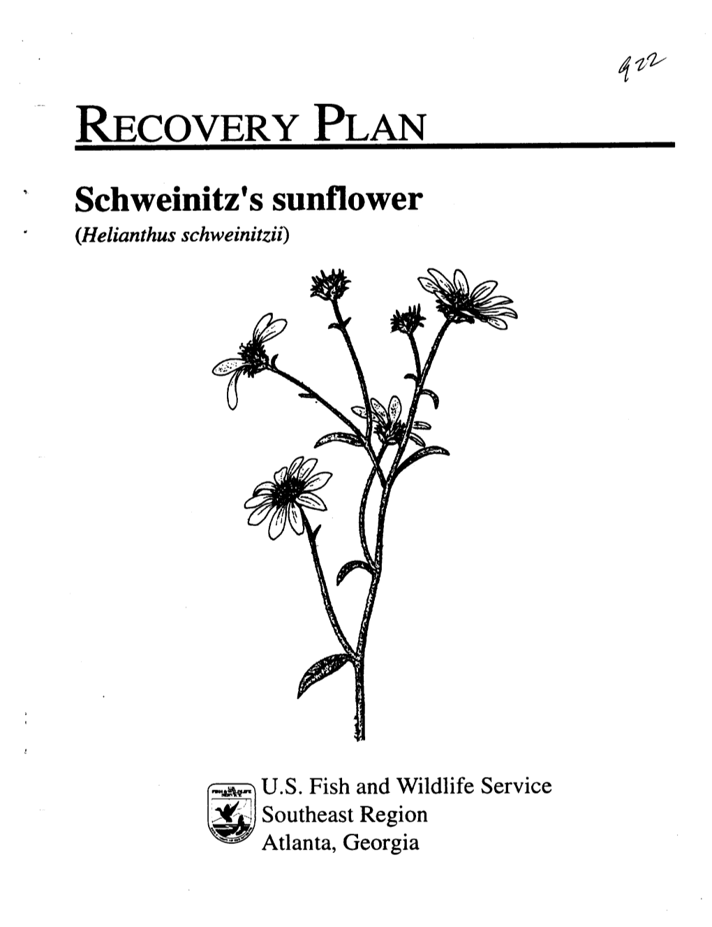 RECOVERY PLAN Schweinitz S Sunflower (Helianthus Schweinitzii)