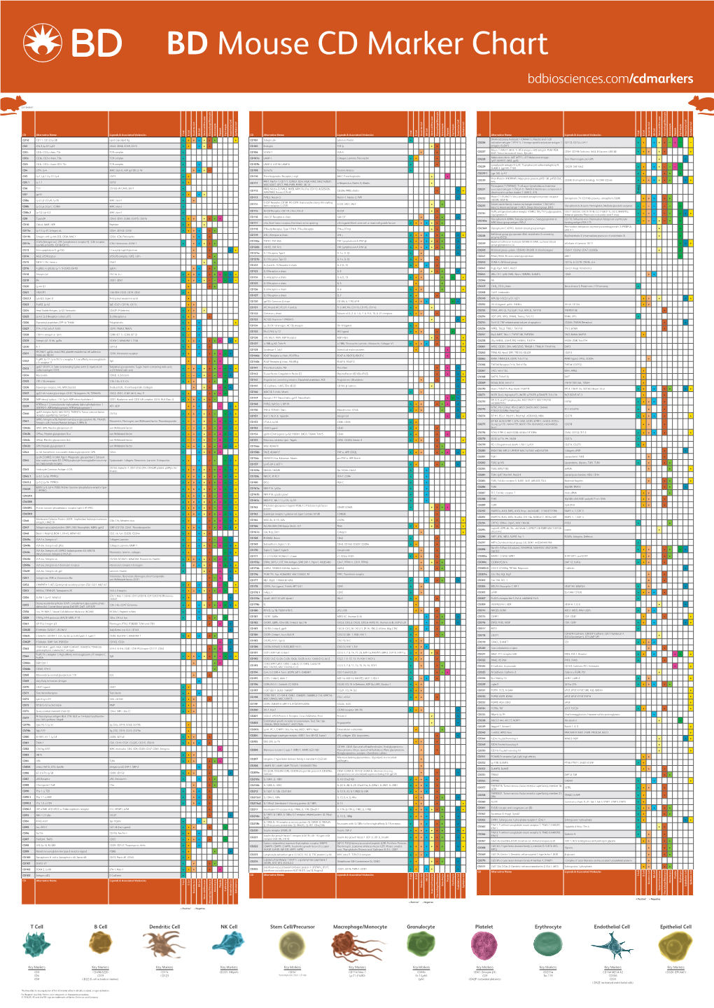 Mouse CD Marker Chart Bdbiosciences.Com/Cdmarkers