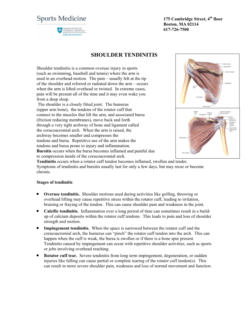 Shoulder Tendinitis Protocol