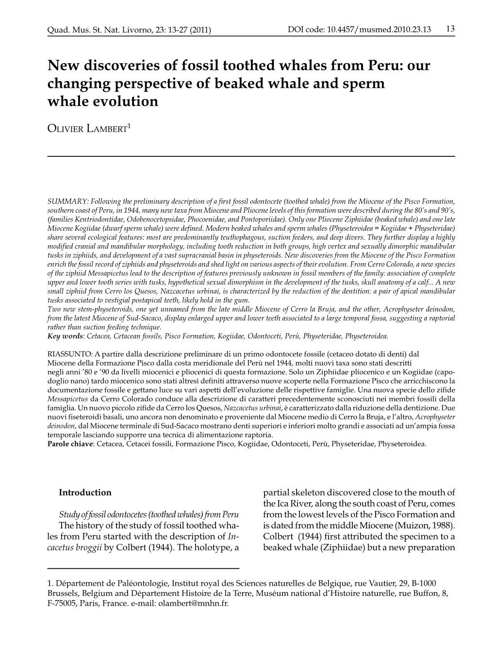 New Discoveries of Fossil Toothed Whales from Peru: Our Changing Perspective of Beaked Whale and Sperm Whale Evolution