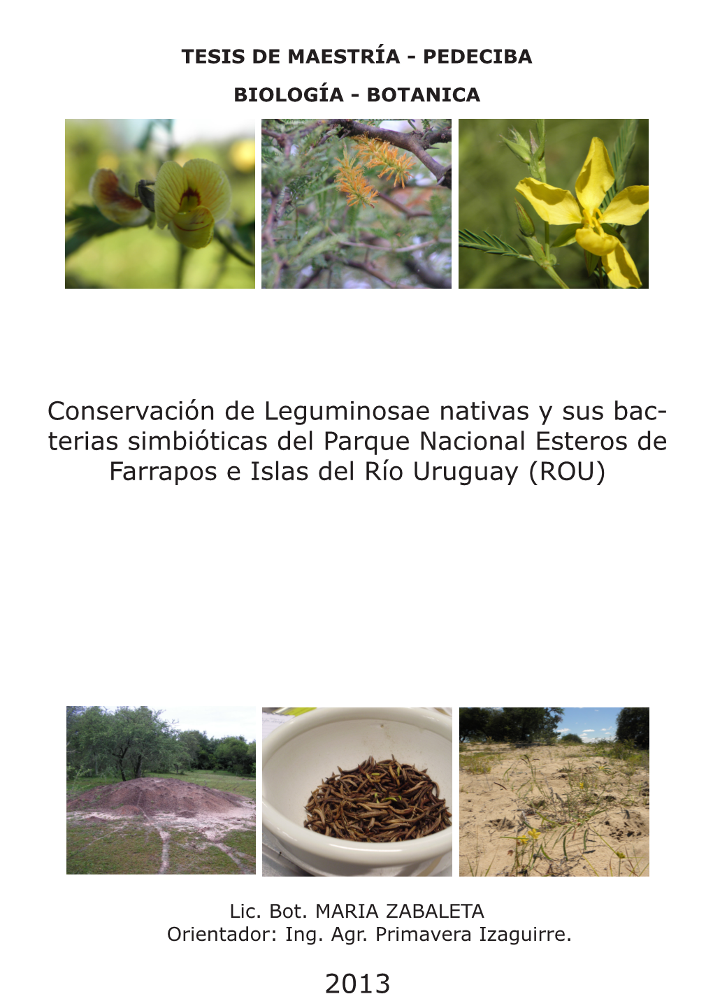Conservación De Leguminosae Nativas Y Sus Bac- Terias Simbióticas Del Parque Nacional Esteros De Farrapos E Islas Del Río Uruguay (ROU)