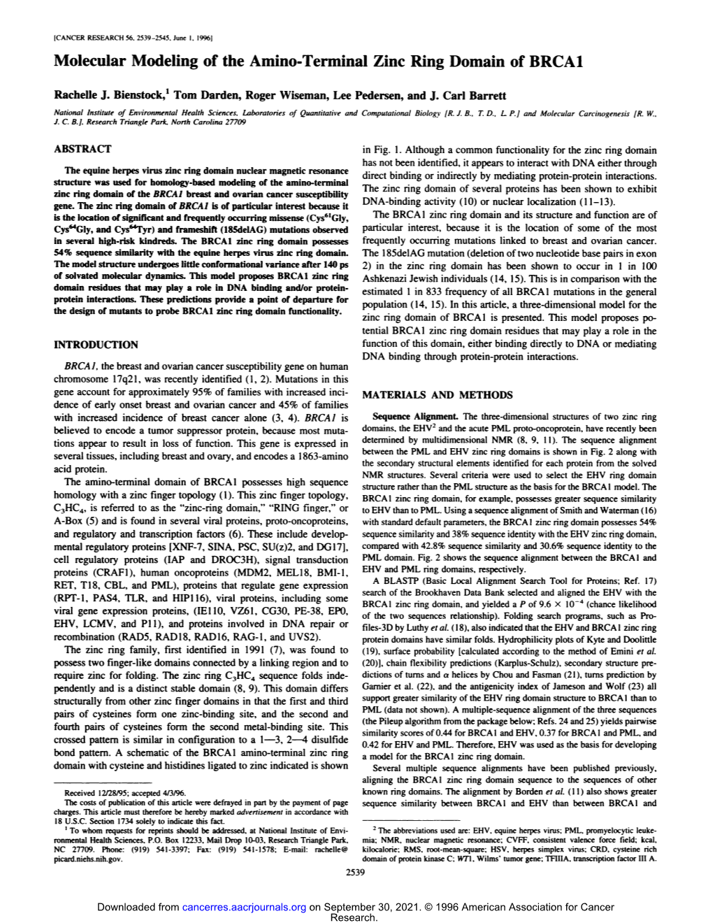 Molecular Modeling of the Amino-Terminal Zinc Ring Domain of BRCA1