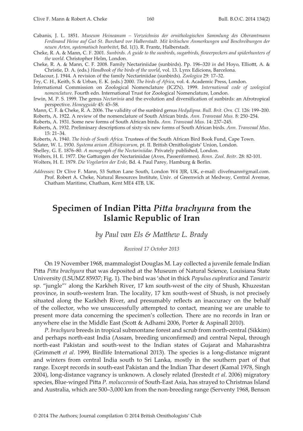 Specimen of Indian Pitta Pitta Brachyura from the Islamic Republic of Iran