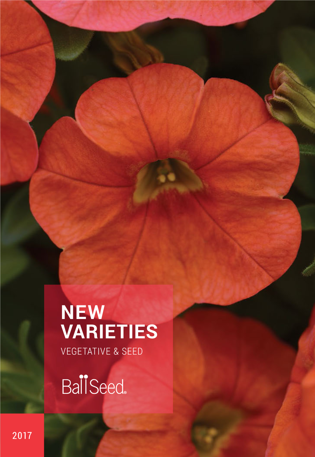 New Varieties Vegetative & Seed