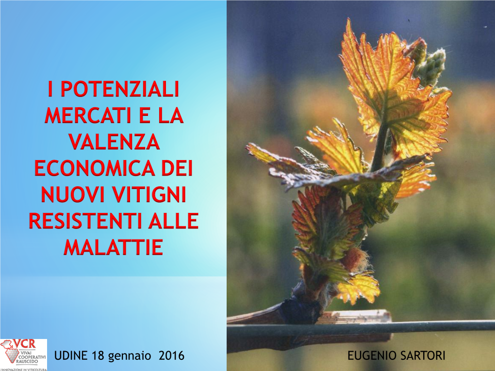 Il Contributo Dei Vivai Coopertativi Rauscedo Alla Valutazione Agronomica Ed Enologica Dei Nuovi Vitigni Resistenti Alle Malatti