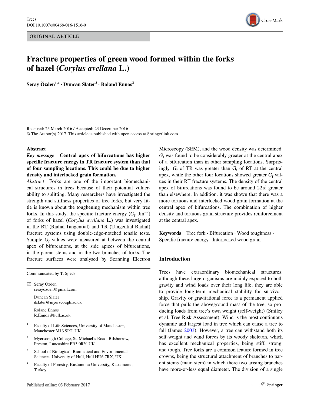 Fracture Properties of Green Wood Formed Within the Forks of Hazel (Corylus Avellana L.)